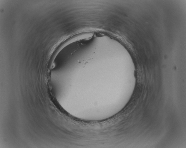 X0000068830015200605261627