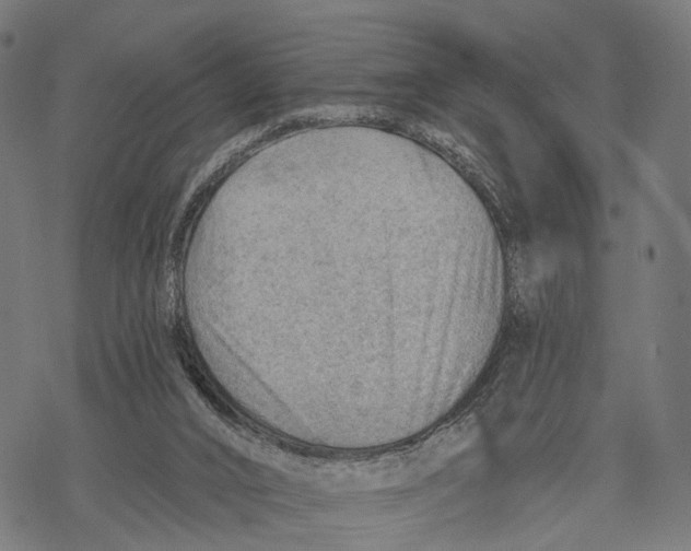 X0000068830016200605261627