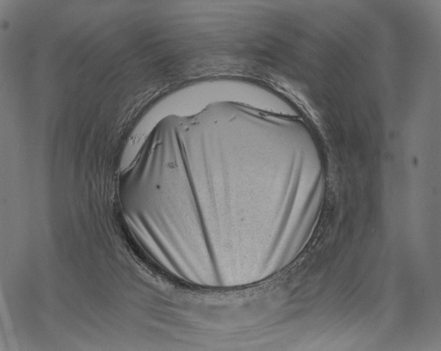 X0000068830017200605261627