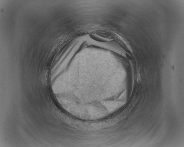 X0000068830018200605261627