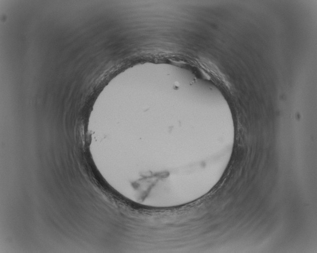 X0000068830021200605261627