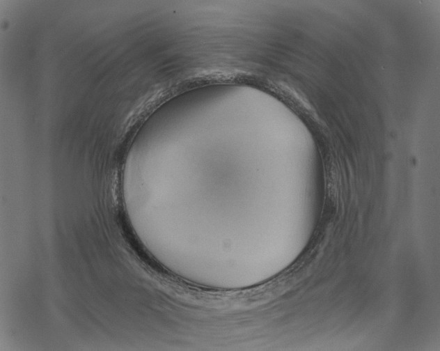 X0000068830023200605261627