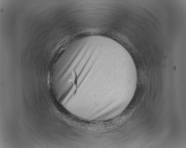 X0000068830024200605261627