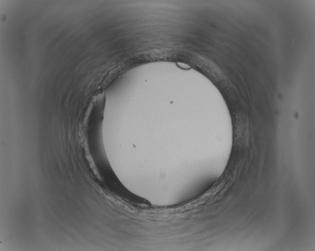 X0000068830025200605261627