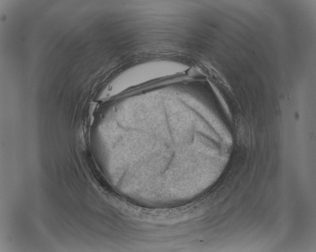 X0000068830026200605261627