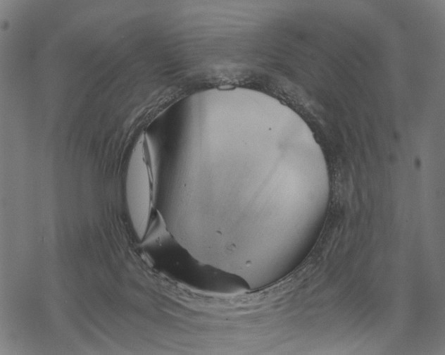 X0000068830027200605261627