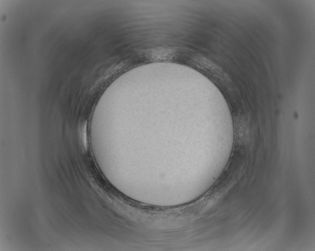 X0000068830028200605261627