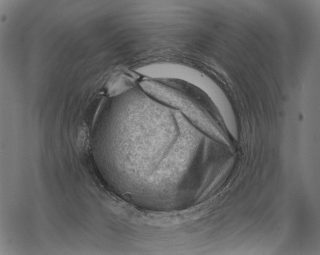 X0000068830029200605261627