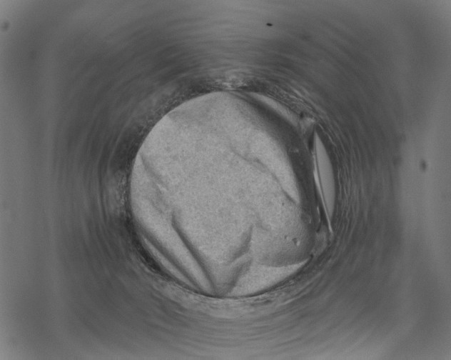 X0000068830030200605261627