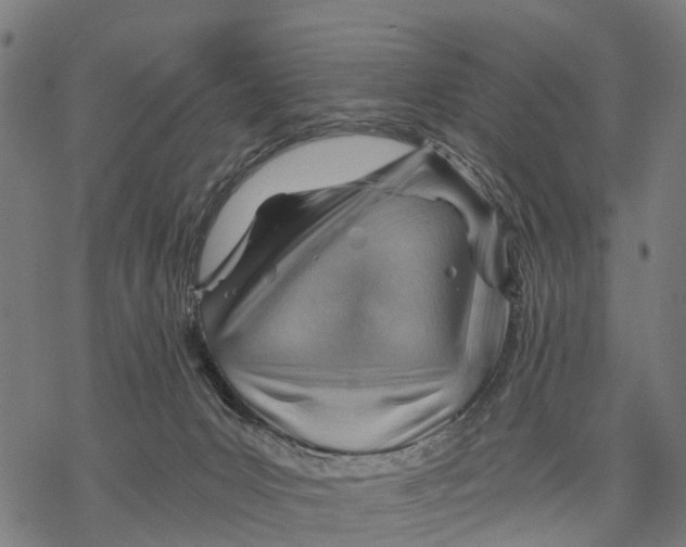 X0000068830031200605261627