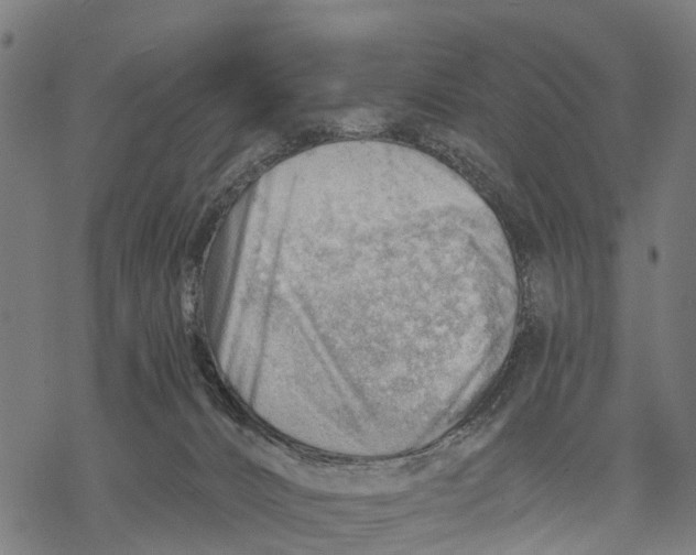 X0000068830032200605261627