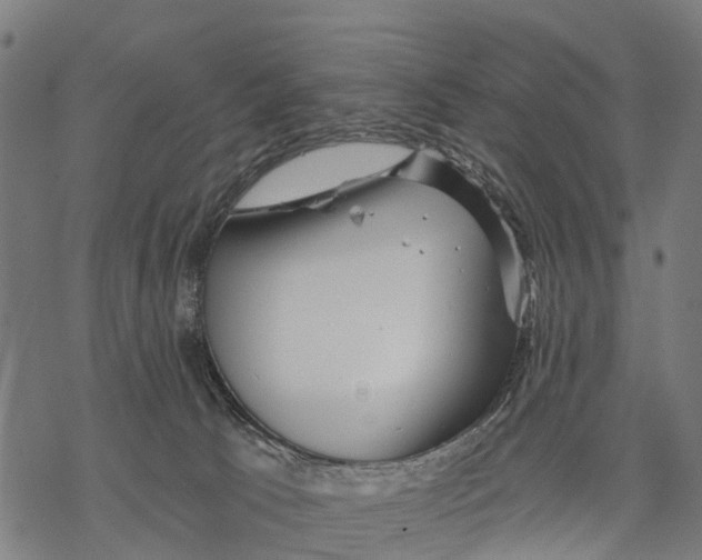 X0000068830033200605261627