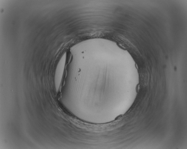 X0000068830035200605261626