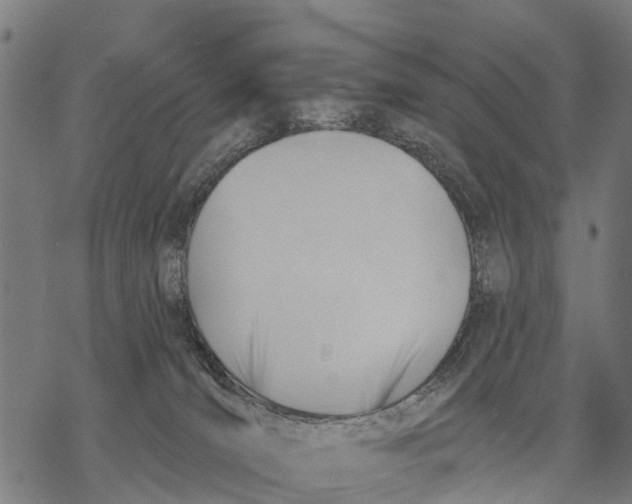 X0000068830036200605261626