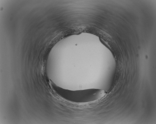 X0000068830037200605261626