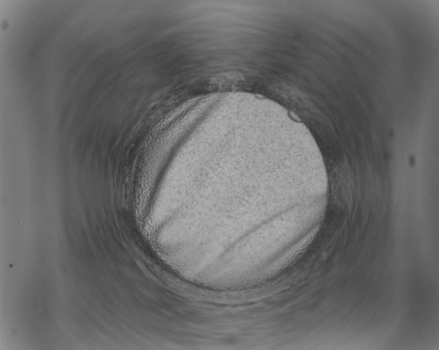 X0000068830038200605261626