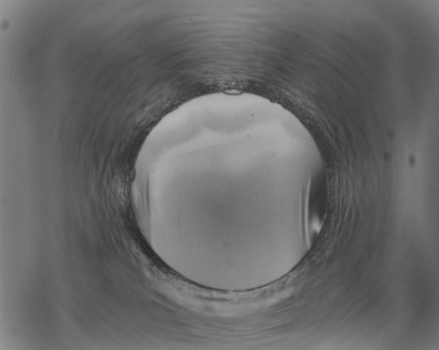 X0000068830039200605261626