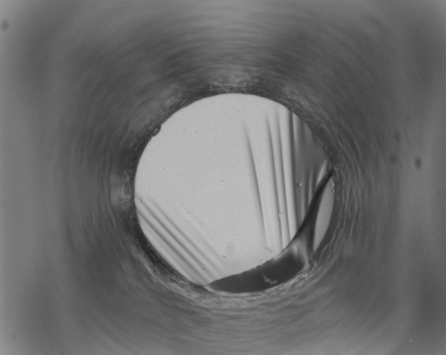 X0000068830040200605261626