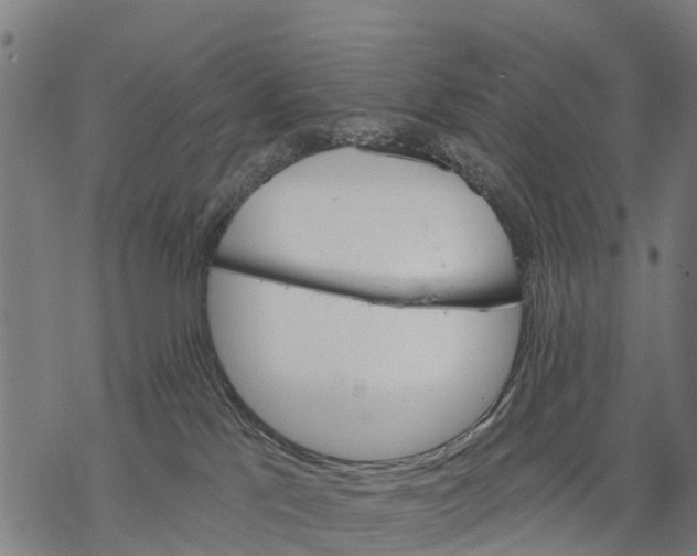 X0000068830041200605261626