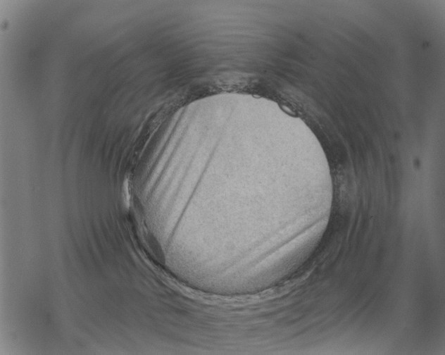 X0000068830042200605261626