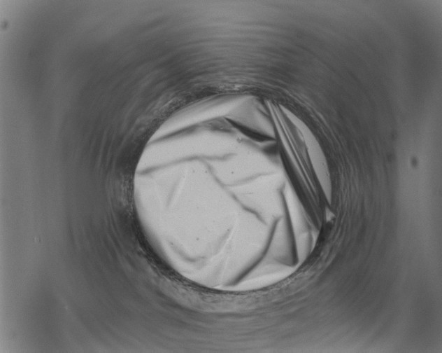 X0000068830044200605261626