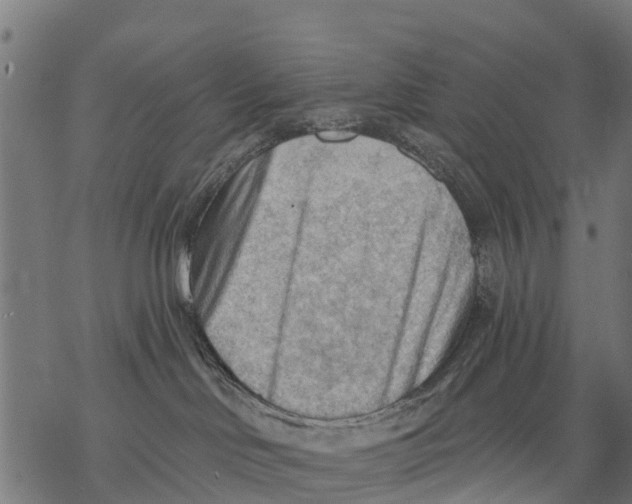 X0000068830046200605261626