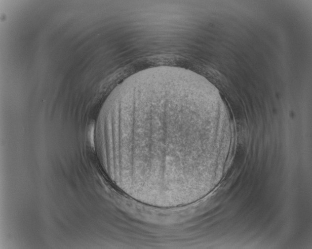 X0000068830047200605261626