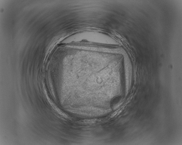 X0000068830049200605261626