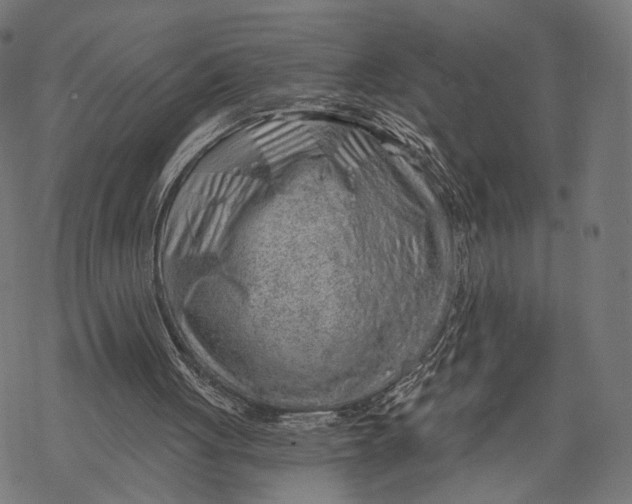 X0000068830051200605261626