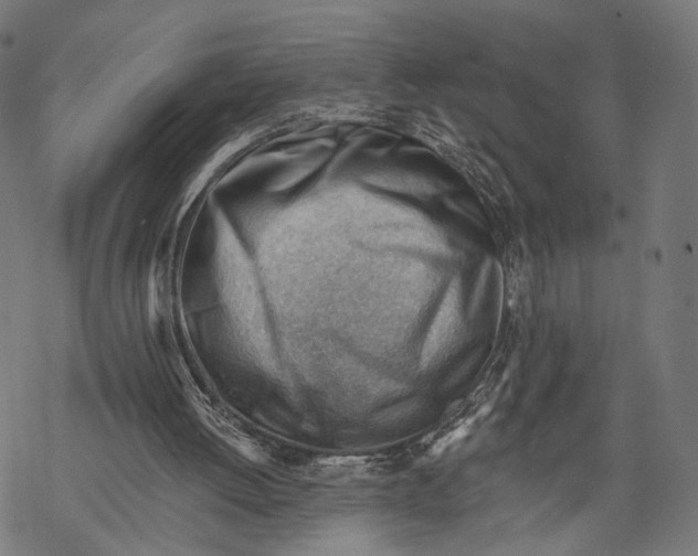 X0000068830052200605261626