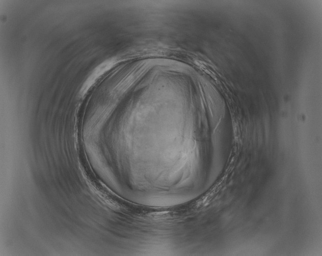 X0000068830054200605261626