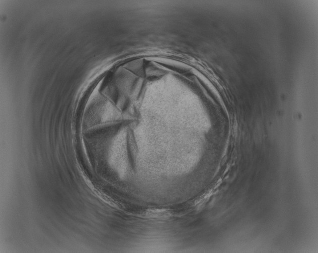 X0000068830055200605261626