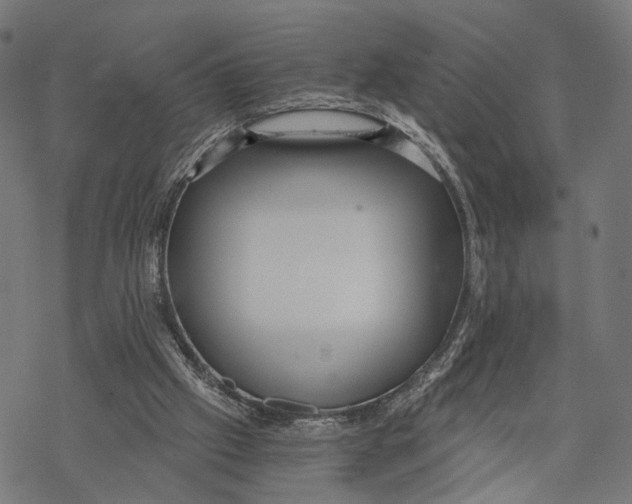 X0000068830057200605261626