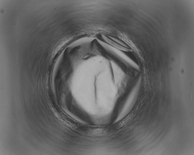 X0000068830058200605261626