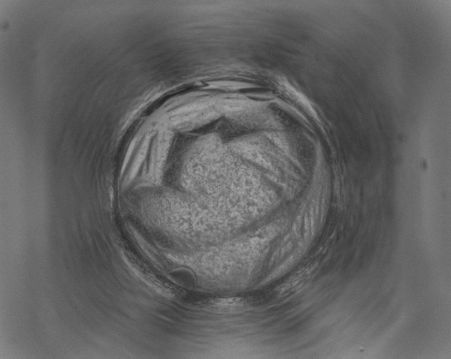 X0000068830059200605261626