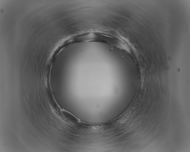 X0000068830060200605261626