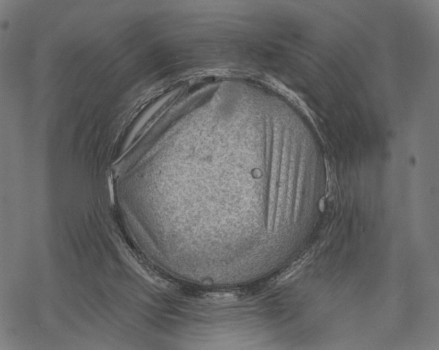 X0000068830061200605261626