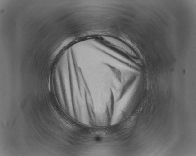 X0000068830062200605261626