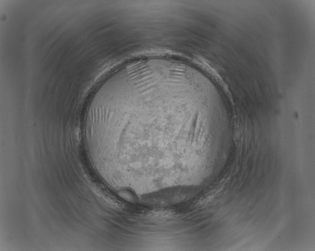 X0000068830063200605261626