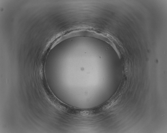 X0000068830064200605261626