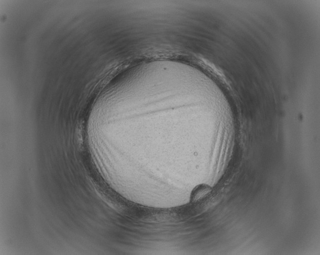 X0000068830065200605261626