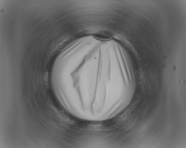 X0000068830066200605261626