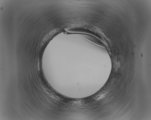 X0000068830068200605261626