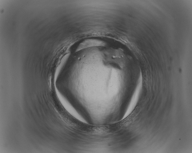 X0000068830070200605261626