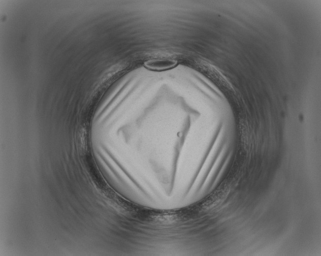 X0000068830071200605261626