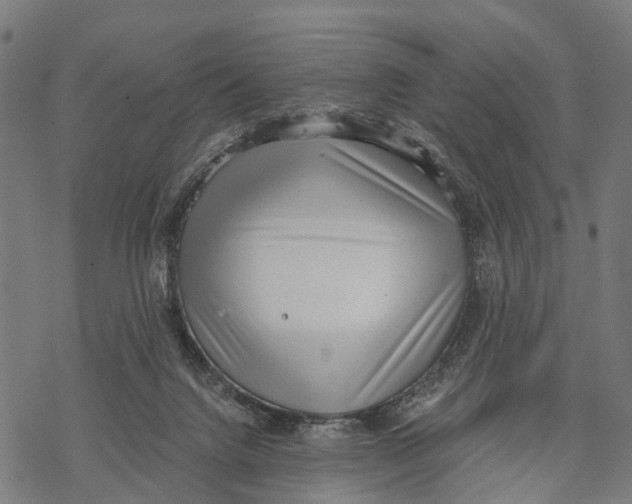 X0000068830072200605261626