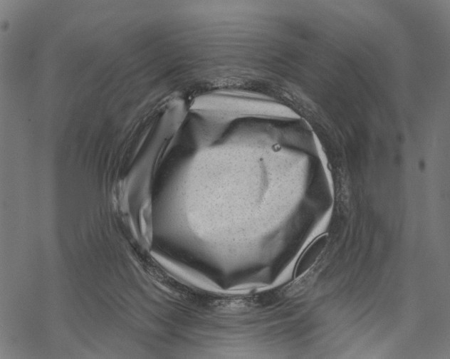 X0000068830074200605261626