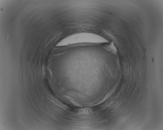 X0000068830077200605261626