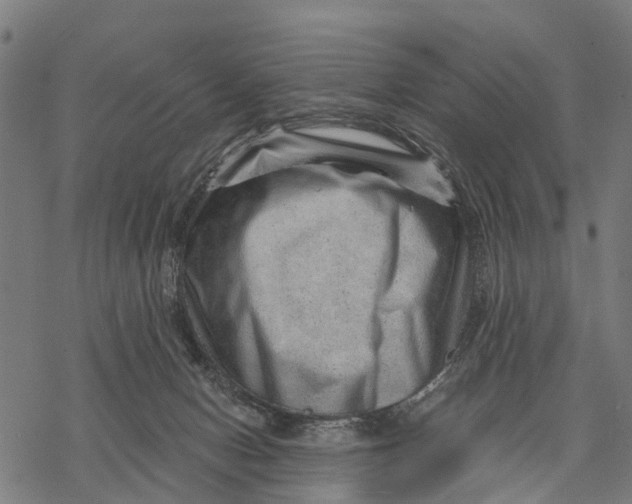 X0000068830078200605261626