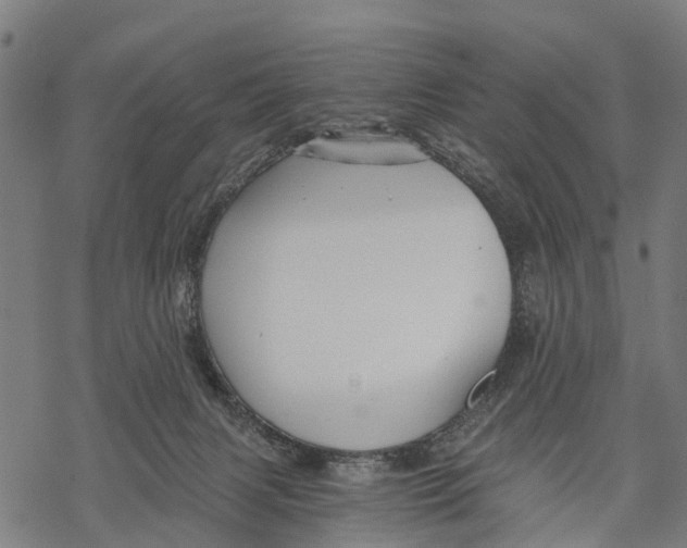 X0000068830079200605261626